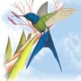 MARGARETH CRISTINA LEMOS