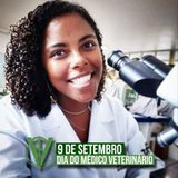 Shihane Mohamad Costa Mendes