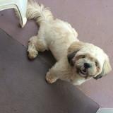 Marlete Alves da Silva Panziera