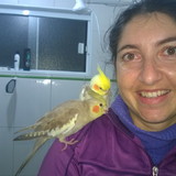 Juliana de Almeida Dias