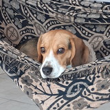 Jeanne Mara de Almeida Teixeira