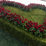 Damaris Borges Alves Dalia