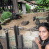 ana claudia ferreira messias