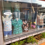 LUIZ ANTONIO BEGOSSO