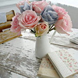 Fabíola Muraro Saldanha Silva