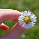 SCARLATT THAIS DE BRITO