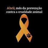 Joao Paulo Ciconelle