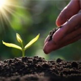 Ateliê Poder das Ervas