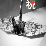 Fernanda Yamamoto Silva