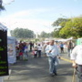 MARIA DE LOURDES CARVALHO FIGUEIREDO