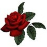 katia cristina braga