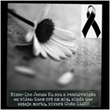 Ir para o perfil do usuário