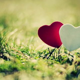 Alessandra Cerqueira de Carvalho