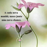 Edna Maria limeira paxini