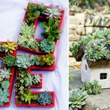 Rodrigo Martins Rezende