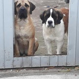 Celia Maria Pereira Charneski