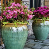 Josy Karla Neves Paschoal