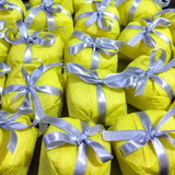 ROBERTA SEGALOT ALVES DA SILVA