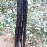 excluido_©DaniDread