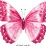 Ellen Andrade Corrêa Almeida