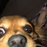 Ana Clara Figueiredo Galdino