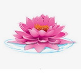 Flor de Lótus Arte Crochê