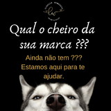 Cibelle cristina Tomaseto