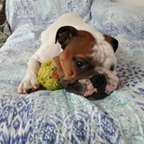 Edna da Silva Garcia