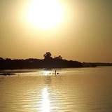 Vanessa Afonso Chaves