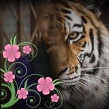 excluido_Kolo de Mãe