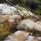 Gláucia da Rocha Teixeira