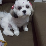 Lidiane pinheiro de brito