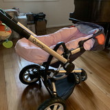 Andréia Calderari Manso