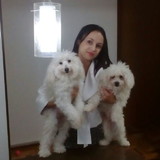 Gisele Lacerda Chaves Vieira