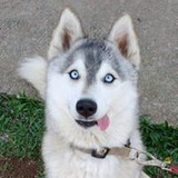 Erika Yumi Kagueyama de Oliveira