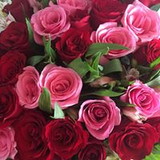 juliana tourinho borges