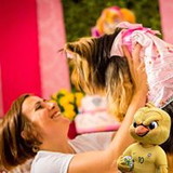 Veronica Brandão Costa