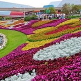 Sonia Maria Serrina do Couto