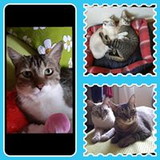 Beatriz Helena Rodante Alem