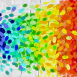 Marina de Oliveira Pessina