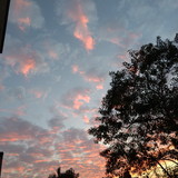 Caroline Marcos Camilo