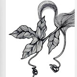 PATRICIA SILVA LIMA LYRA