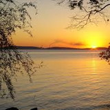 nicole pereira de andrade