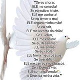 Márcia Cristina Belentani