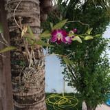 Lilian Kelen Barbosa Dos Santos