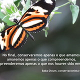 Amanda Silveria de Oliveira