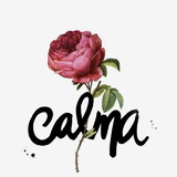 Jaguaracira da Matta