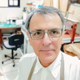 Adolfo Jose Guimaraes Correa