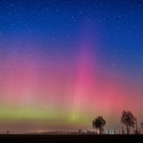 Marcela Alves Feitosa