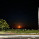 Melina Campoi Borguetti